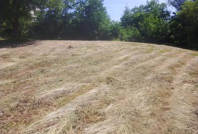 Teren de 4000 mp, în Copăceni - 8
