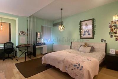 Vila in apropiere de IANCU NICOLAE-JOLIE VILLE - 12