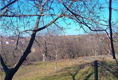 Bucium, Fundac Paun, teren1500mp. intravilan  str asfaltata - 2