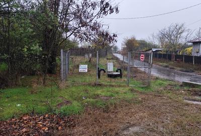 Casa batraneasca plus teren 1600mp Toporu jud. Giurgiu - 13