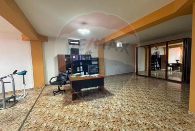 Casa / Vila cu 6 camere de vanzare - 25