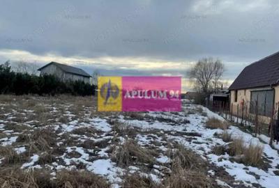 Teren Buda- Ilfov. - 2