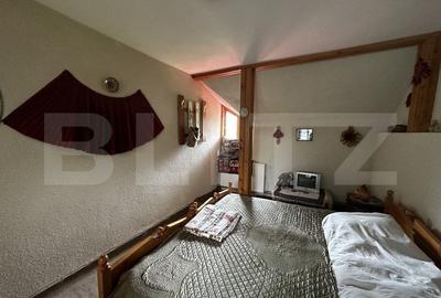 Pensiune turistica, zona Runcu - 11