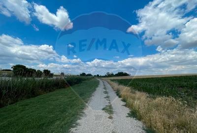 Teren agricol extravilan de 4350 mp, în Vasilați - 3