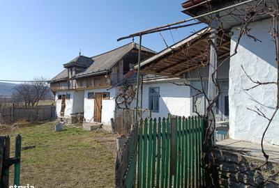 Casă cu 4 camere cu Teren 9000 Mp în Berești - 3