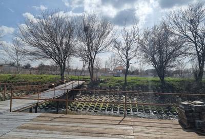 Teren de 1000 mp, în Vrancea - 8