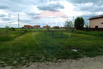 Teren 601mp Balotesti / Strada Morarilor - 6