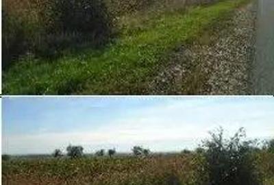 Teren extravilan Obrejita, ID: R2832813 - 1