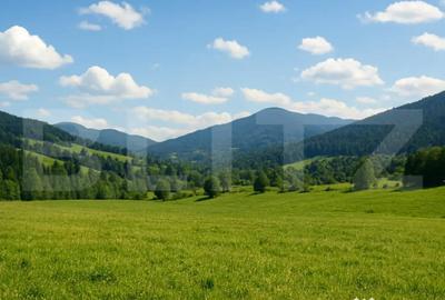 Teren de 7000 mp, în Central