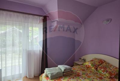 Casa / Vila cu 7 camere de vanzare - 9