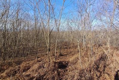 Resita, Teren Extravilan, Pretabil pentru Fotovoltaice, 17265 Mp., 2 Euro Mp., Km. 8 - 2