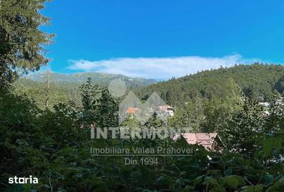 Teren de 278 mp, în Central - 9