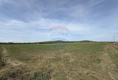 Teren Investitii 2.5 Ha | Zona Tetarom III Rascruci Teren Investitii 2.5 Ha | Zona Tetarom III Rascruci - 4
