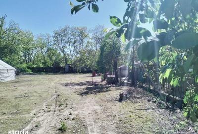 Casă cu 4 camere cu Teren 600 Mp în Maia - 2