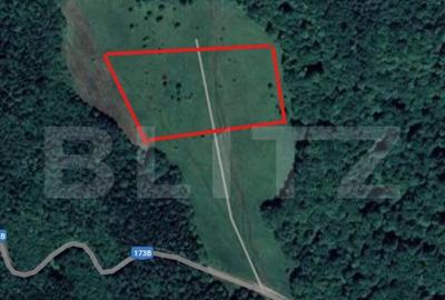 Teren extravilan de vanzare, 2,4 hectare, zona drumul Tarpiu - 2