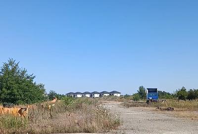 12368 mp teren pentru constructii,str-Iederei-str;Dumbravei deschidere 298 m - 4