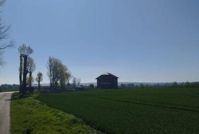 Vand teren intravilan 4000MP cu  dechidere la Delta Neajlovului, Comana GR - 9