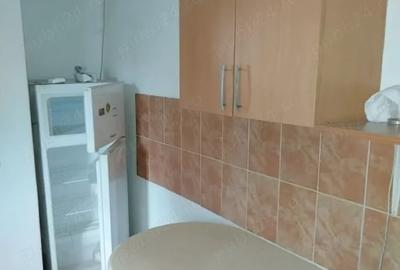Apartament cu 2 camere decomandat, mobilat în Universitate - 7
