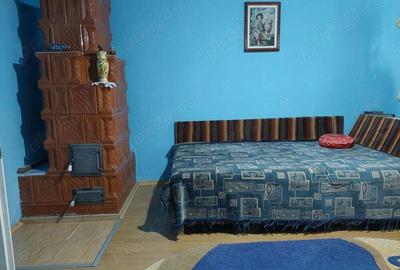 Vand casa mare cu livada, vie, gradina in Fratostita - 3