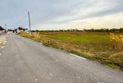 Teren în Albota - 1