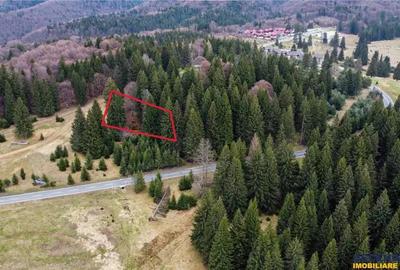 Teren de 1000 mp, în Poiana Brașov - 13