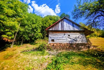 CASA TRADITIONALA, ANEXE si 46.980 mp teren partial INTRAVILAN BULZ - BIHOR - 8
