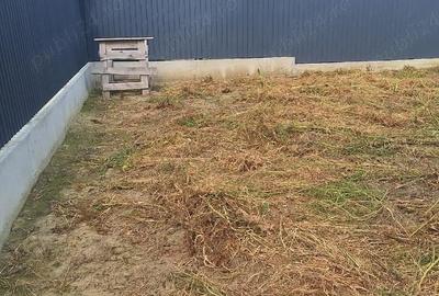 Casă cu Teren 630 Mp în Horia - 1