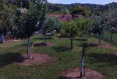 Casă cu 3 camere în Coșteiu - 2