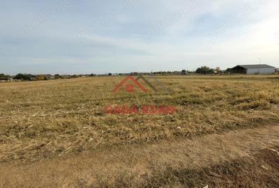 Casă cu Teren 10000 Mp în Băicoi - 1