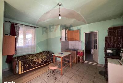Casă cu 2 camere cu Teren 1172 Mp în Bodrogu Nou - 14