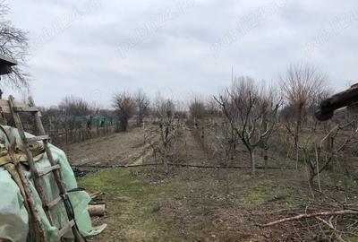 Casă cu 5 camere cu Teren 2594 Mp în Central - 10