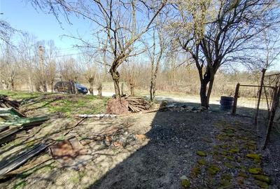 Casă individuală cu 8 camere cu Teren 3800 Mp în Răchitova - 10