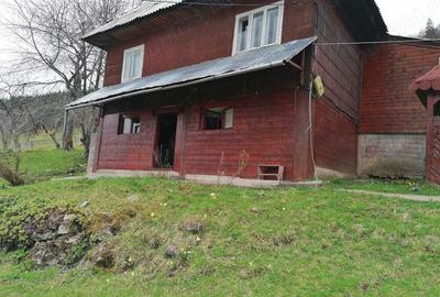 Inima Transilvaniei Inima Transilvaniei - 10