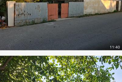 Gospodarie superba cu 3 dormitoare 2 bai si gradina - 6