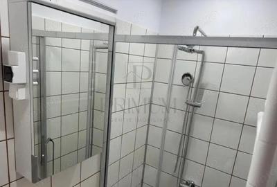 Garsoniera-Mobilata-Utilata-Buziasului - 1