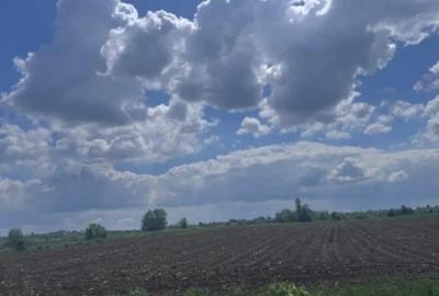 Teren de 7800 mp, în Rădăuți - 2