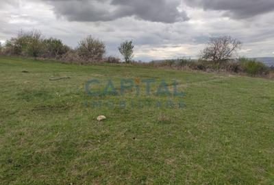 Comision 0! teren intravilan 5500mp, utilitati,  zona, strazii Veseliei Borhanci - 6