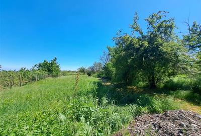 Casă individuală cu 2 camere cu Teren 1435 Mp în Șișterea - 15