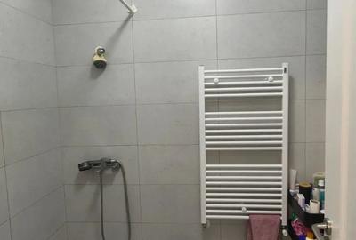 De vanzare studio - Tunari - 8