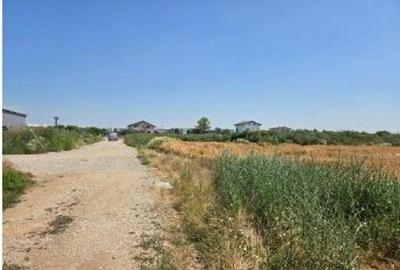 Teren extravilan cota parte 1/2, Magurele, ID: R2641535