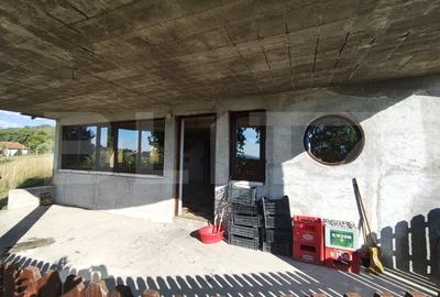 De vanzare casa, zona turistica Vadu Crisului - Bratca, cu teren 5000 mp - 8