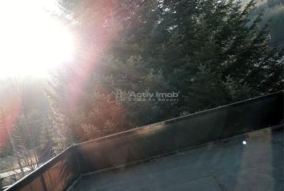 Casă cu Teren 2500 Mp în Secăria - 12