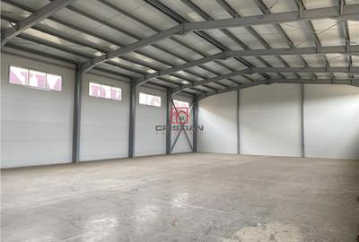 Spațiu comercial, de 1,300 mp, în Theodor Pallady - 12