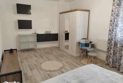 Apartament cu 2 camere decomandat în Rahova - 10