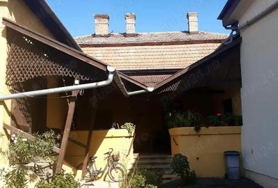 Casa Beregsau Mic caramida strada principala ,teren mare - 9