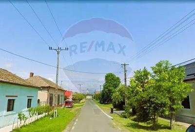 Teren de 5018 mp, în Variașu Mare - 4