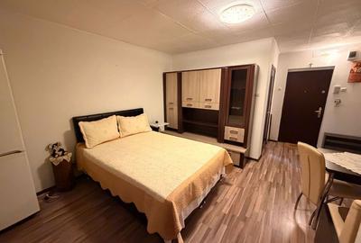 Garsonieră decomandată în Timișu de Jos - 5