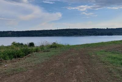 Teren cu vedere la Dunăre în Șimian - 2