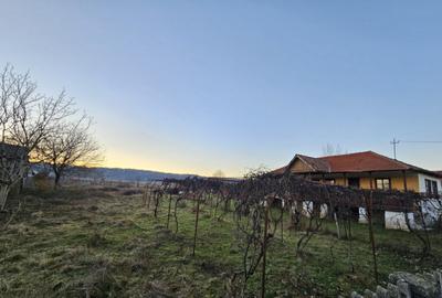 Teren intravilan 1555 mp - Arcani - 13 km de Tg. Jiu - 3