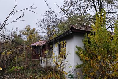 Casa batraneasca plus teren 1600mp Toporu jud. Giurgiu - 10